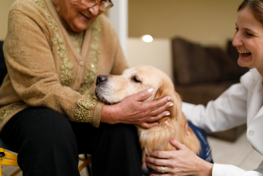 an older person petting a dog